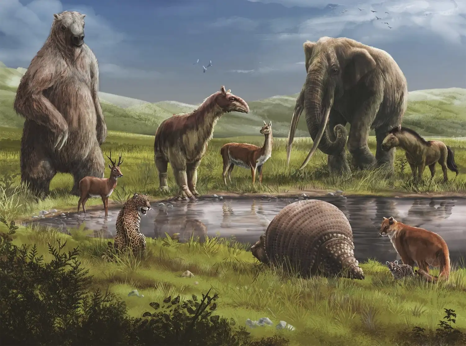 Hacia una paleontología entrerriana: la historia fosilizada que aún podemos descubrir