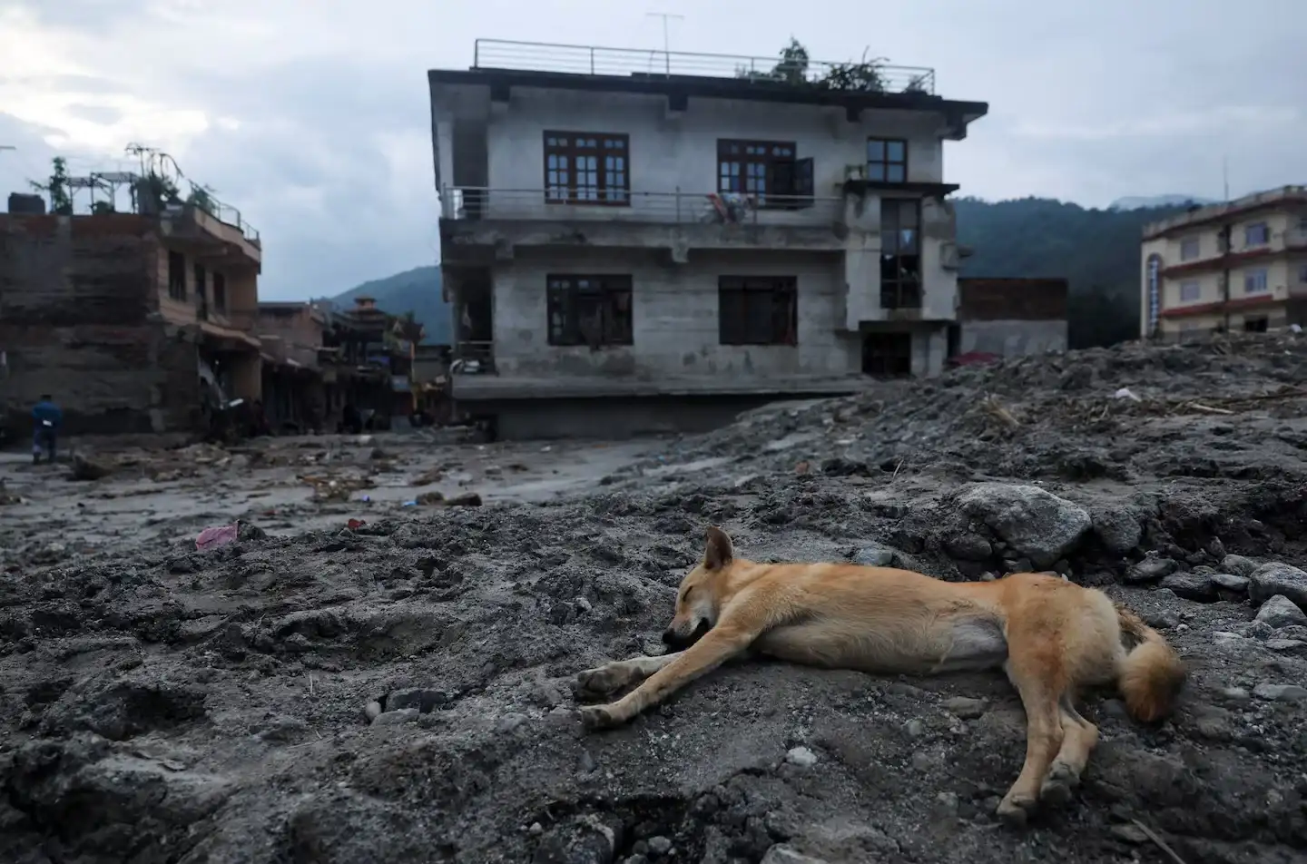 nepal - 1