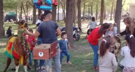 ¿Esto no está prohibido?