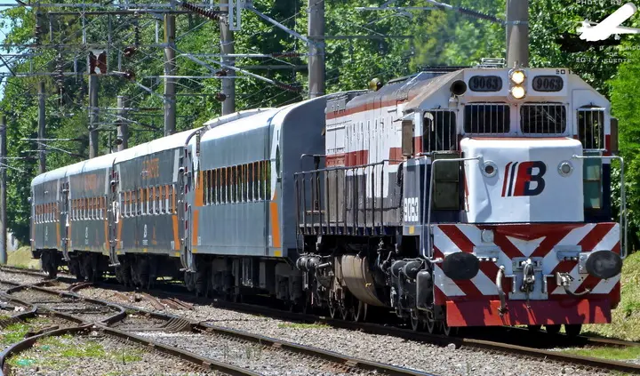 La próxima semana comienzan las definiciones sobre el futuro de Ferrobaires