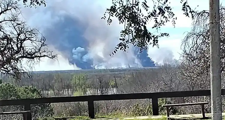 Incendios en las islas: la Corte Suprema ordenó constituir un “Comité de emergencia ambiental”