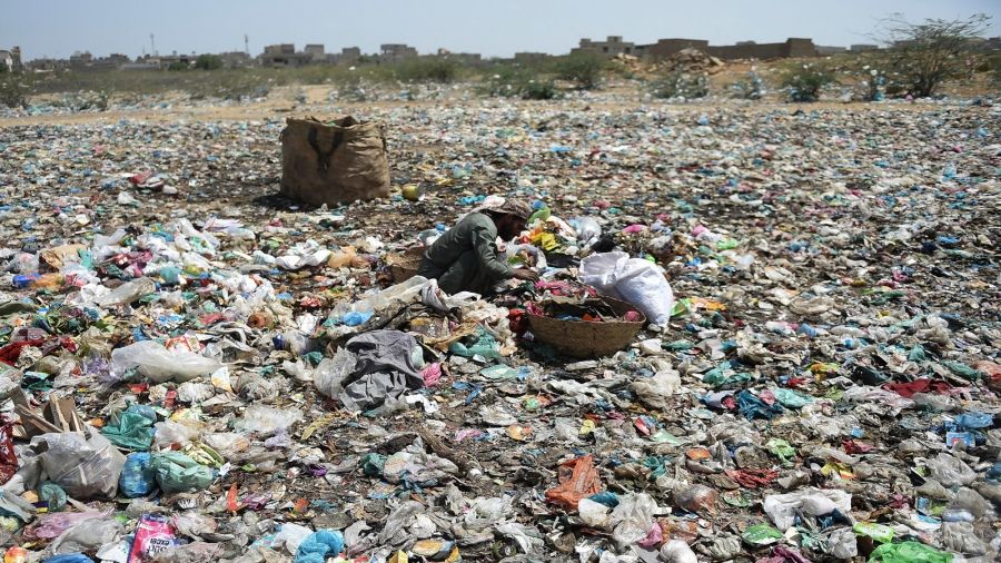 Alertan sobre el vínculo entre la degradación ambiental y la nueva era de enfermedades