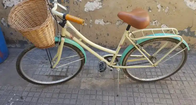 Detienen a chicos de 11 y 16 años que robaron una bicicleta y celulares a otros niños en el Paseo Público