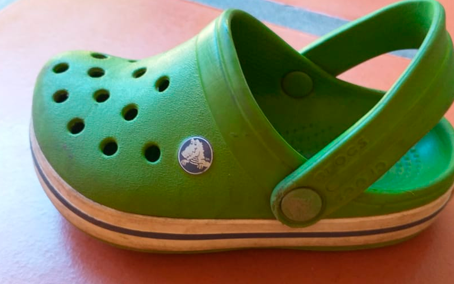 Crocs encontrada en la plaza frente al Normal