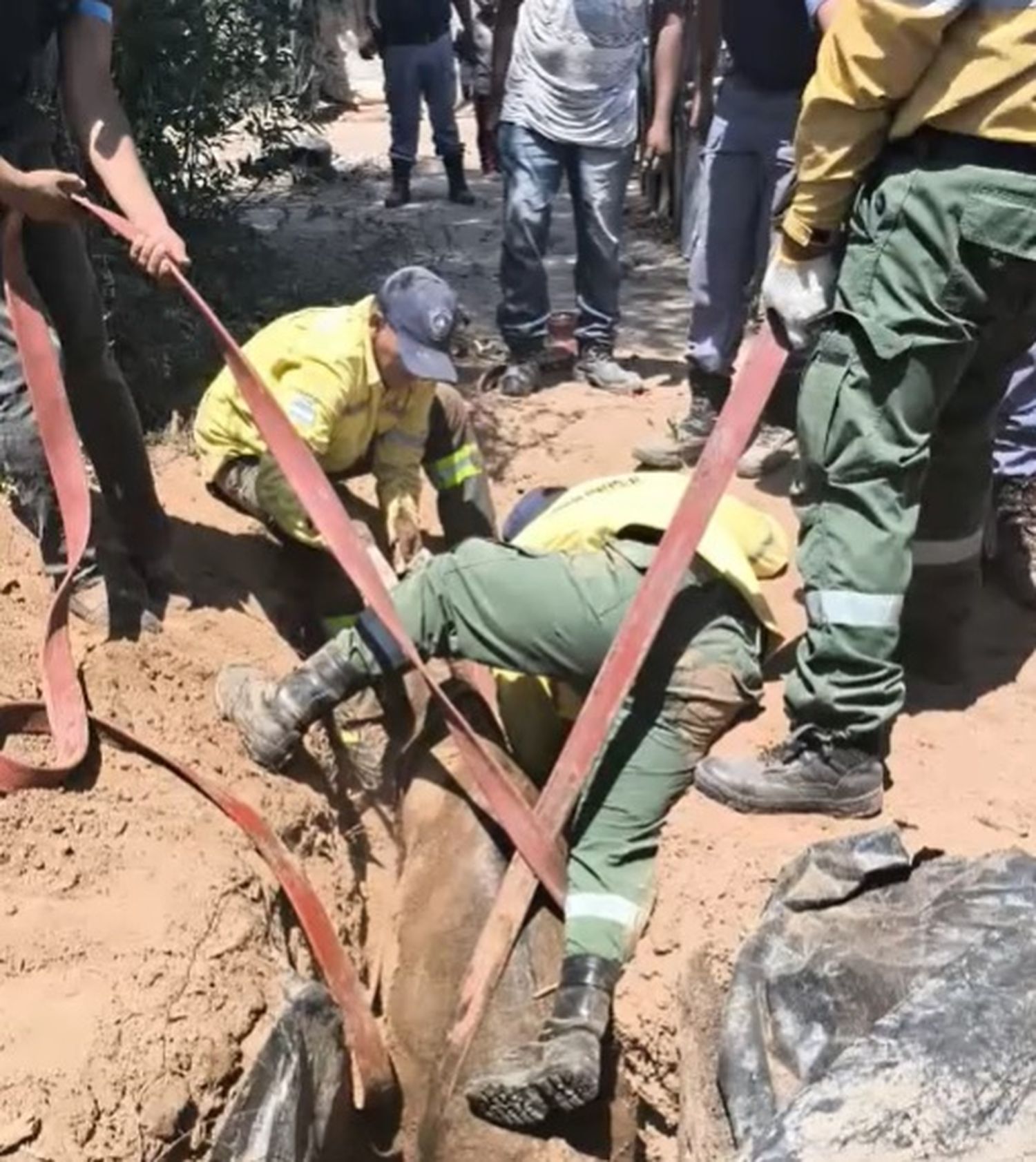 El Potrillo: emotivo rescate a un burro que cayó en un pozo ciego