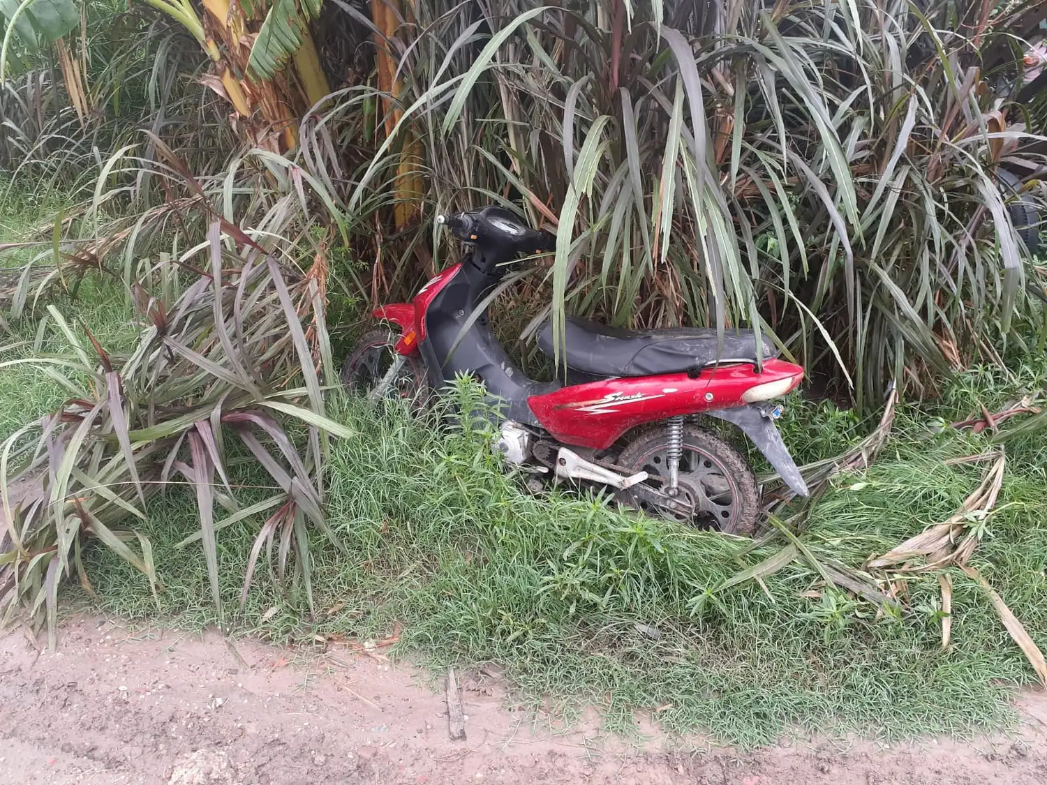 Robaron dos motos, una la escondieron en una cuneta