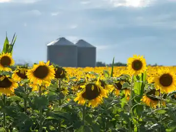 El Gobierno oficializó finalmente la baja de retenciones