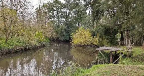 Tirador en el río: Dispararon cerca de un cronista de TV en la zona que balearon a una navegante