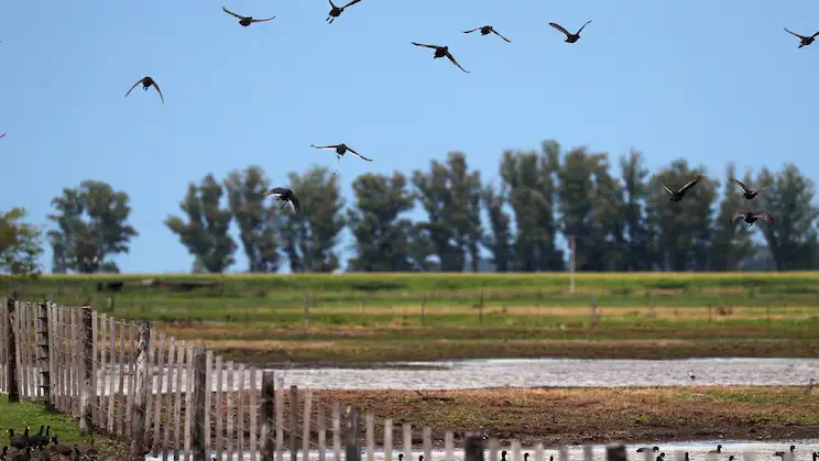 Ley de Tierras Rurales.