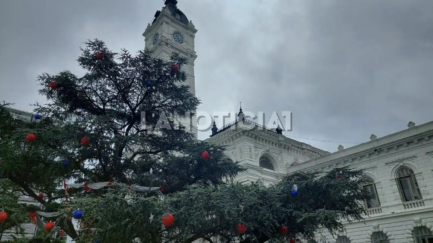 El árbol decorado para Navidad del otro lado del parque de la municipalidad de La Plata.