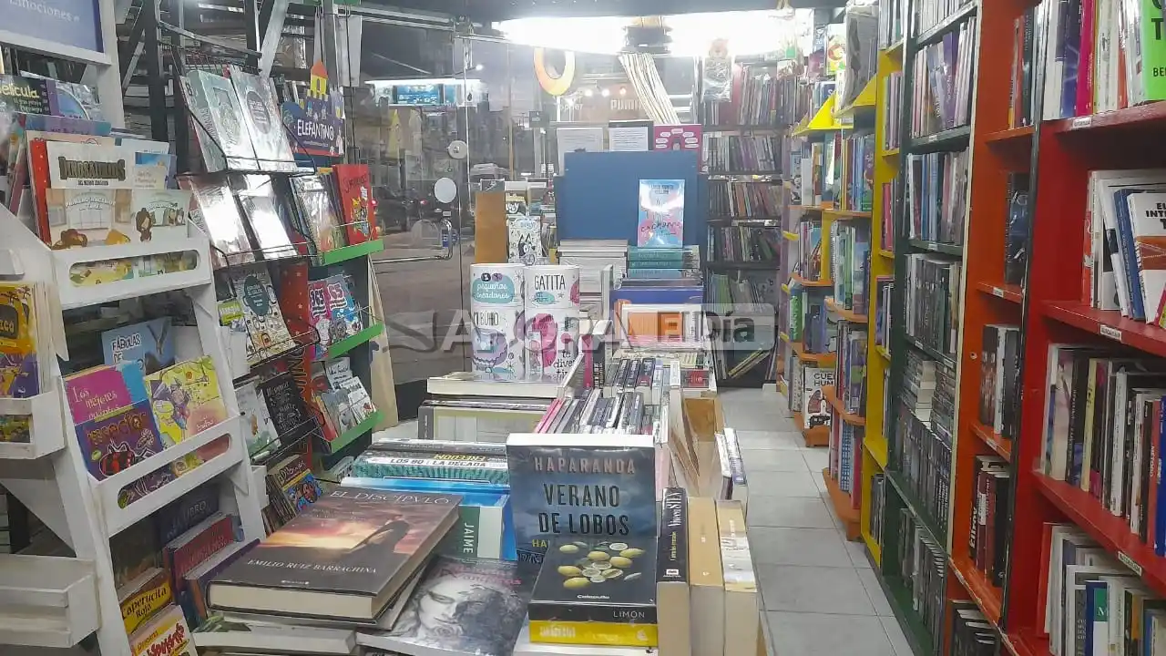 Por la crisis económica, los libreros venden menos ejemplares que antes