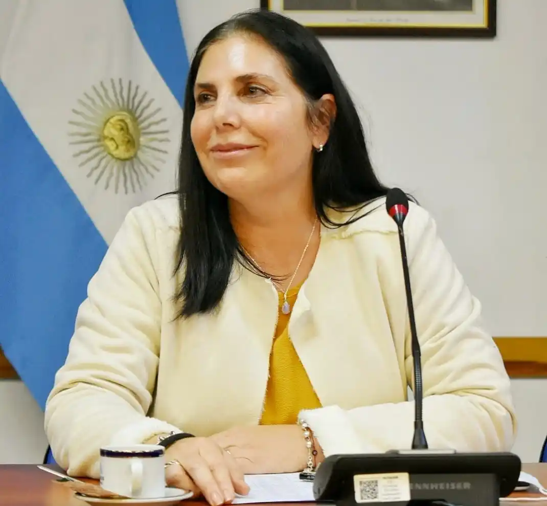 Presentaron proyecto de ley destinado a reducir impuestos nacionales en la tarifa eléctrica