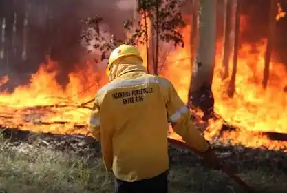 Incendios forestales en Entre Ríos: máxima alerta en Paraná y Gualeguaychú