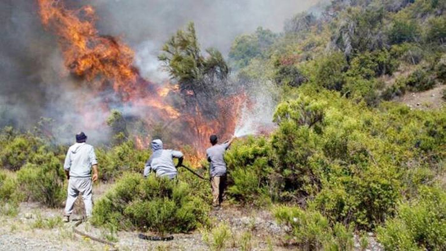 Multas a quien  provoque incendios en Misiones