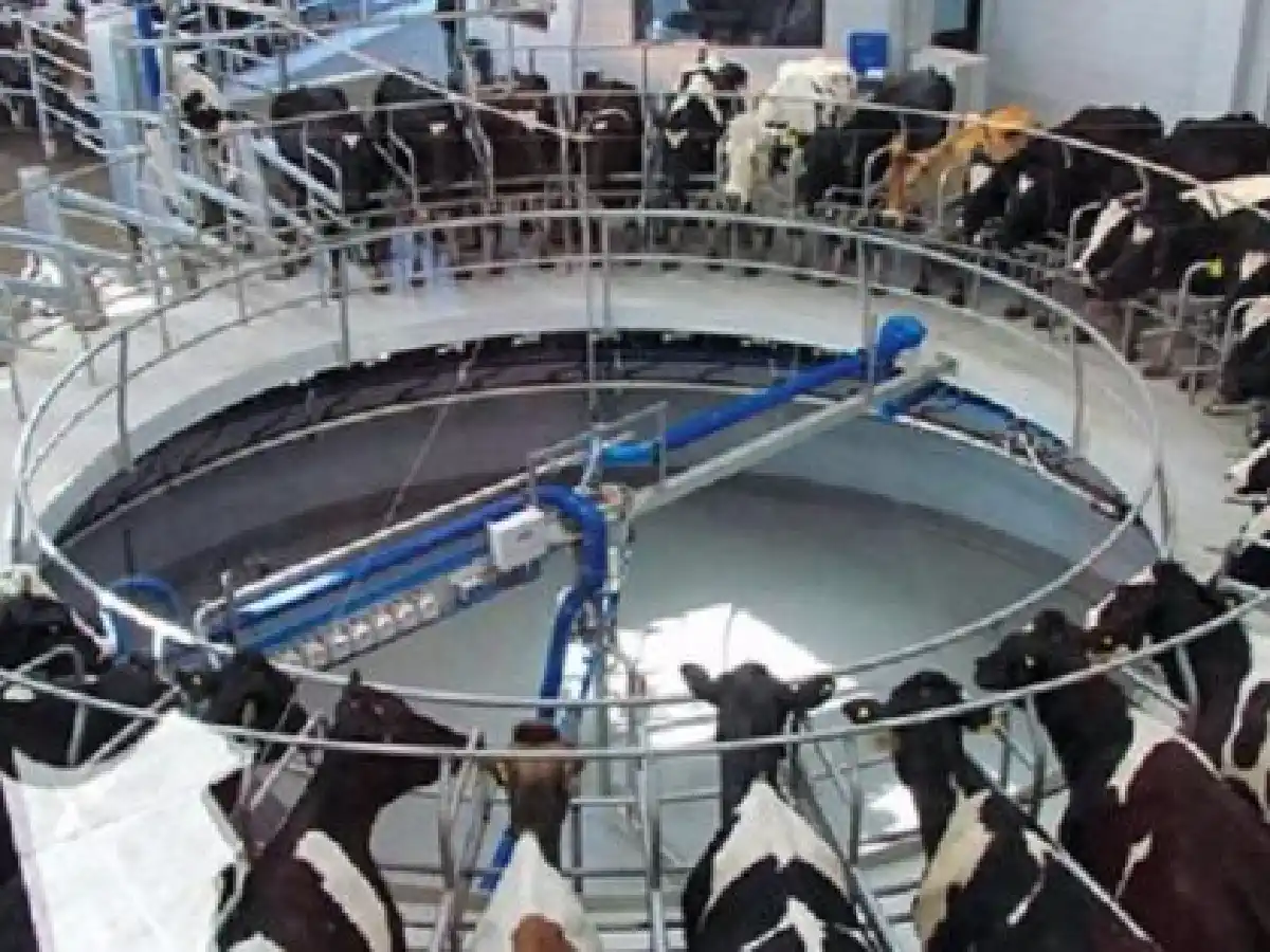 El gobierno comprometió asistencia financiera de nación a tamberos afectados por inundaciones en Santa Fe