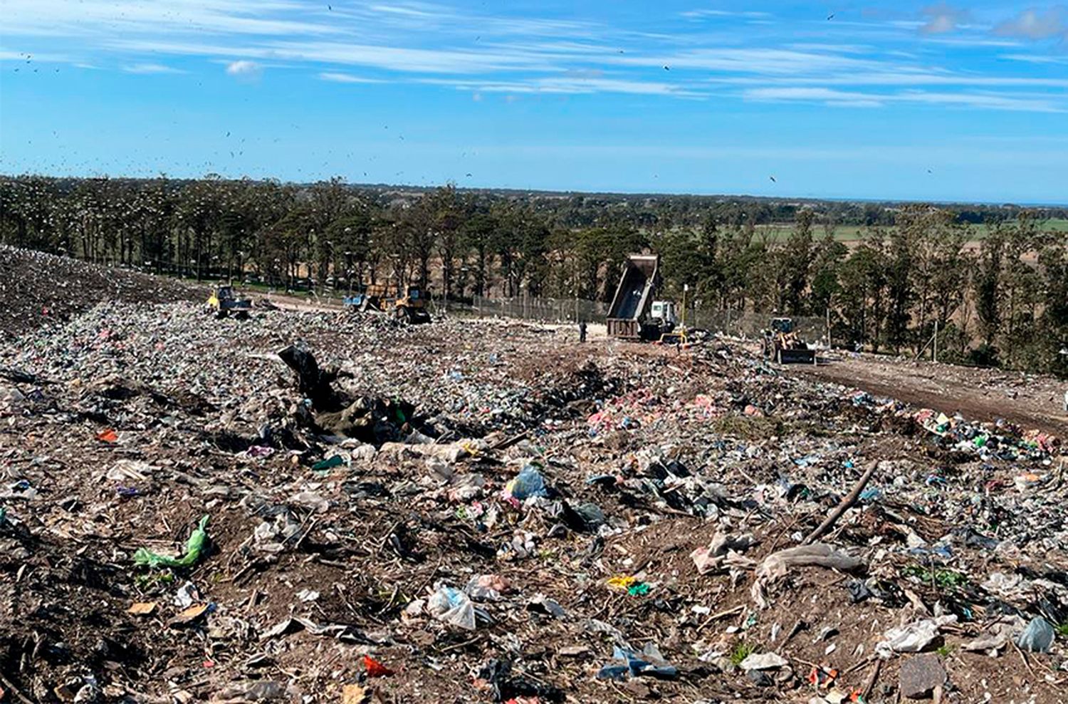 Licitación del basural: ¿Ganaron los "vivos"?