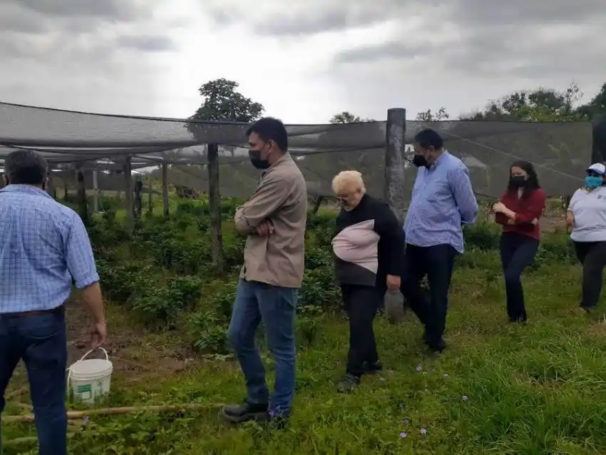 Con diversidad de productos, más pastorileños se vuelcan a tener su huerta familiar