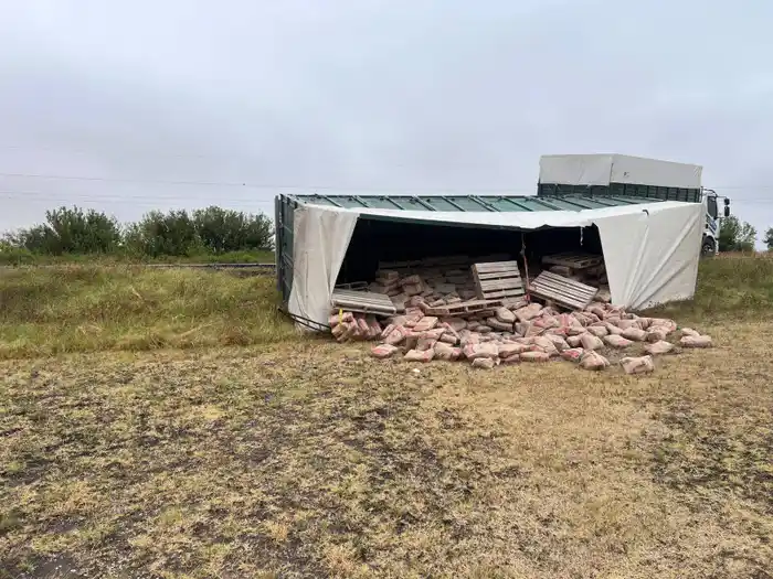 Vuelco de un acoplado con cemento en Ruta 12: no hubo personas lesionadas