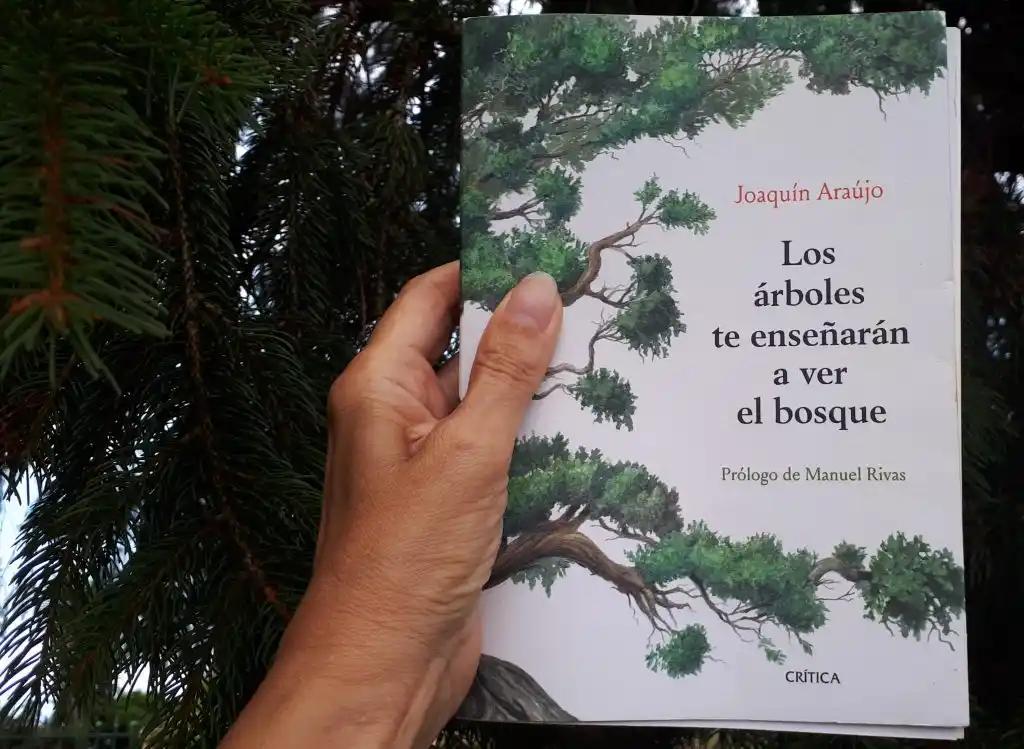 "Todo árbol es una lección", resuena en uno de los pasajes más líricos del libro.