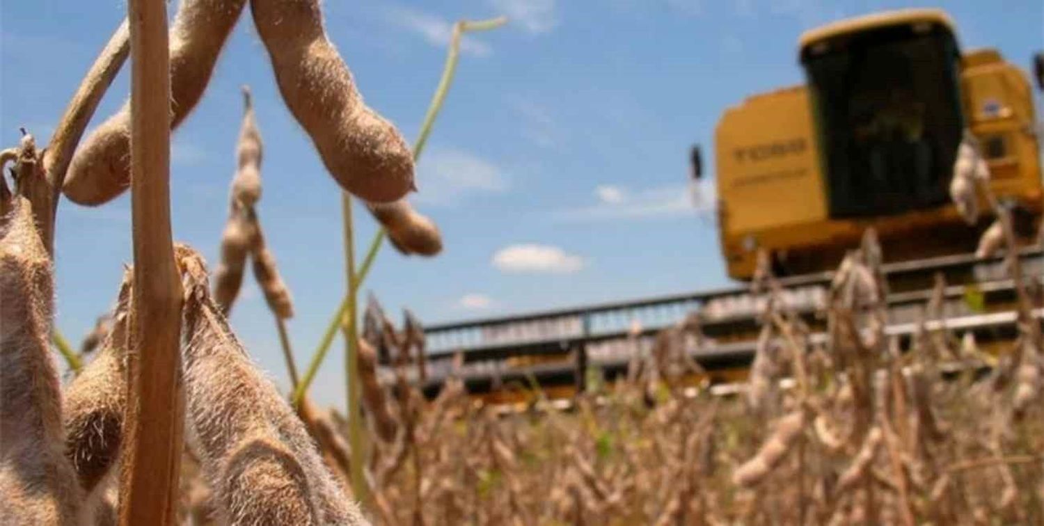 El Ejecutivo pide avanzar en la discusión de la futura ley de Emergencia Agropecuaria