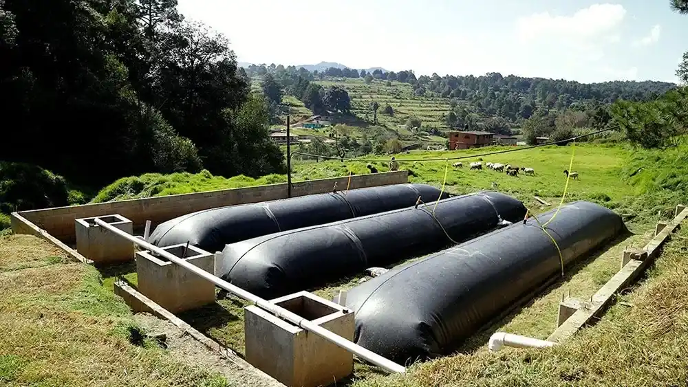 Nuevo Agro - Biodigestores: energía y fertilizantes a partir de residuos