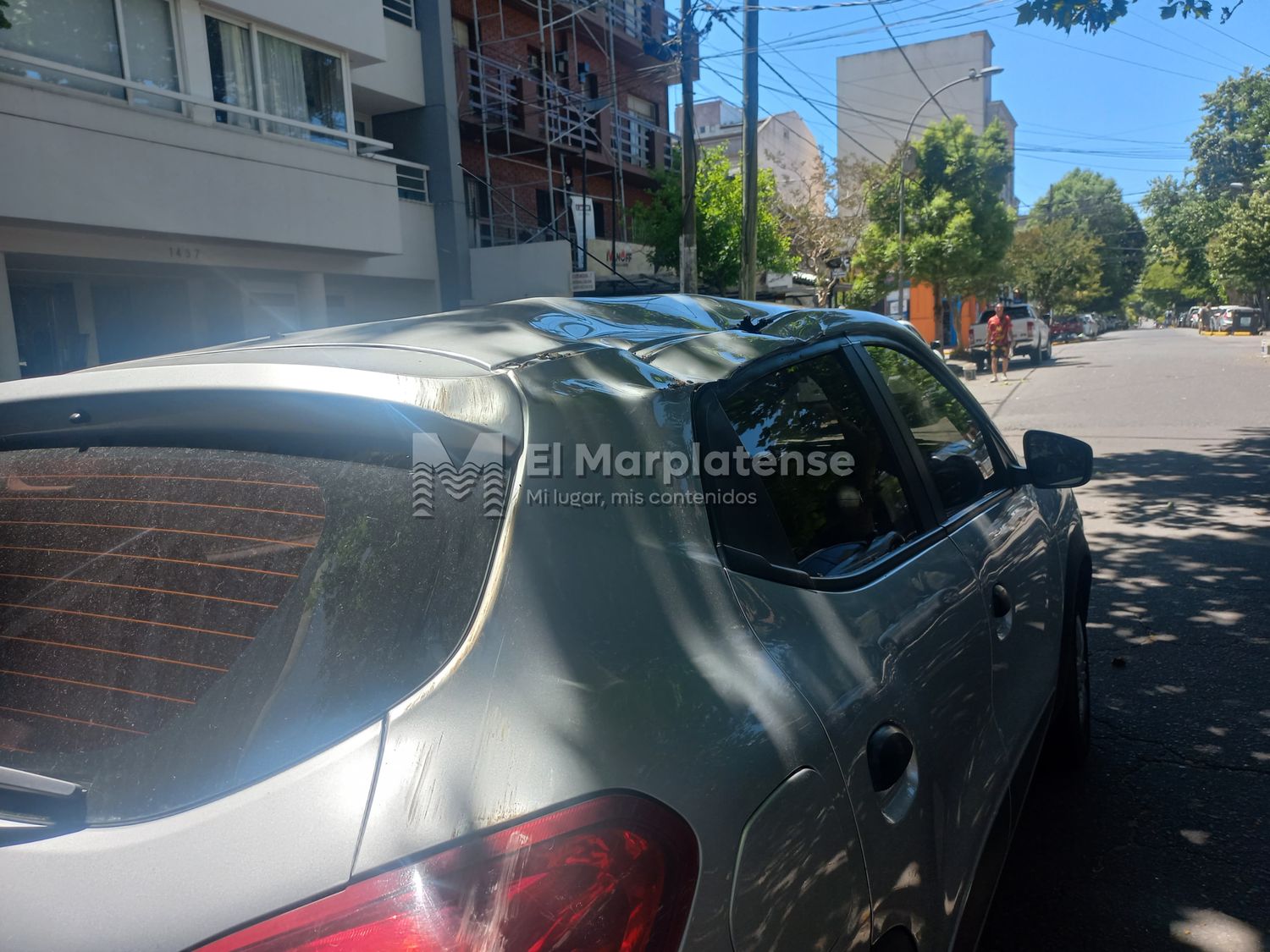 Un árbol cayó sobre un auto estacionado