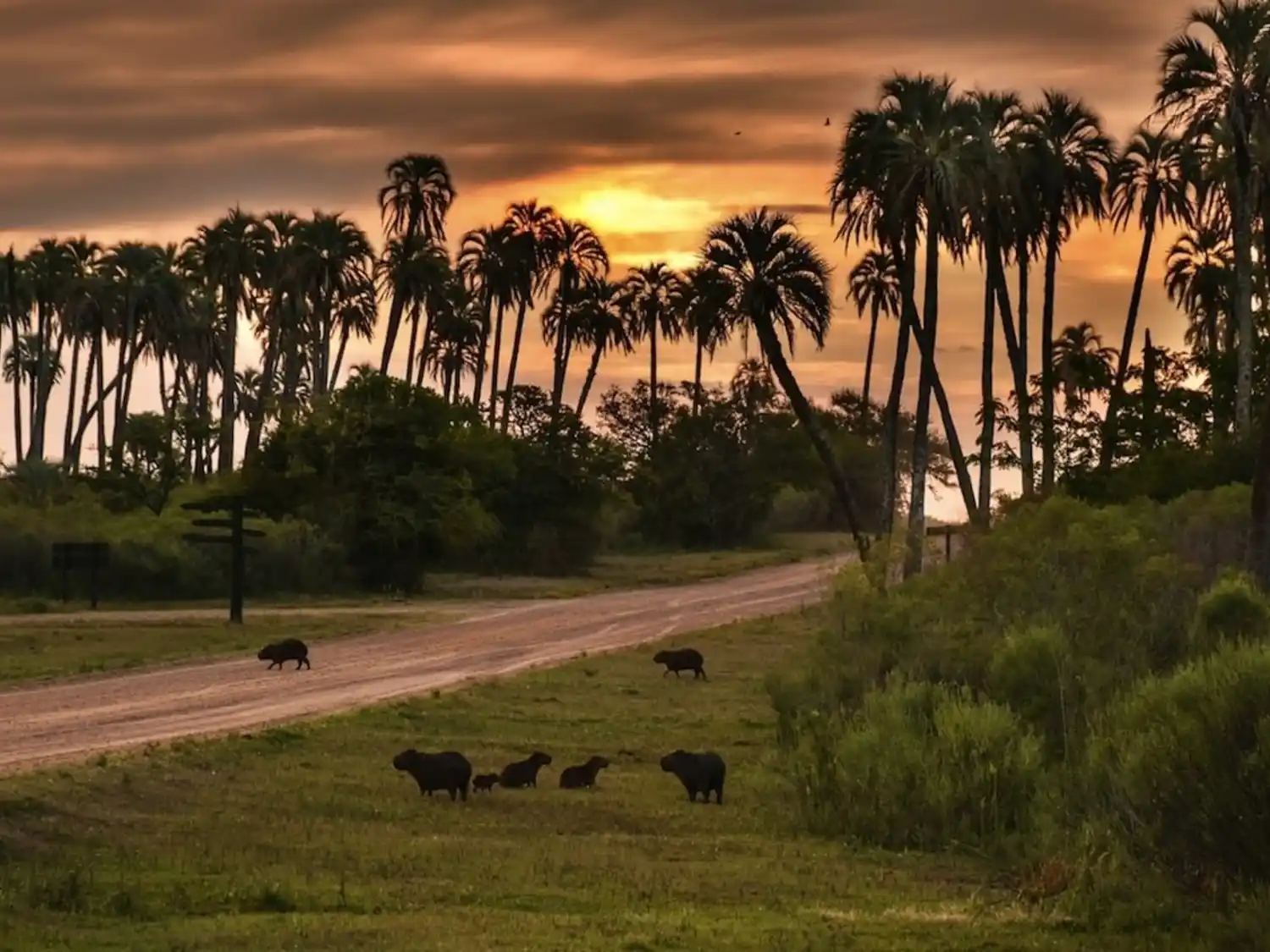 Vacaciones de invierno 2026: cuándo son las fechas del receso escolar provincia por provincia