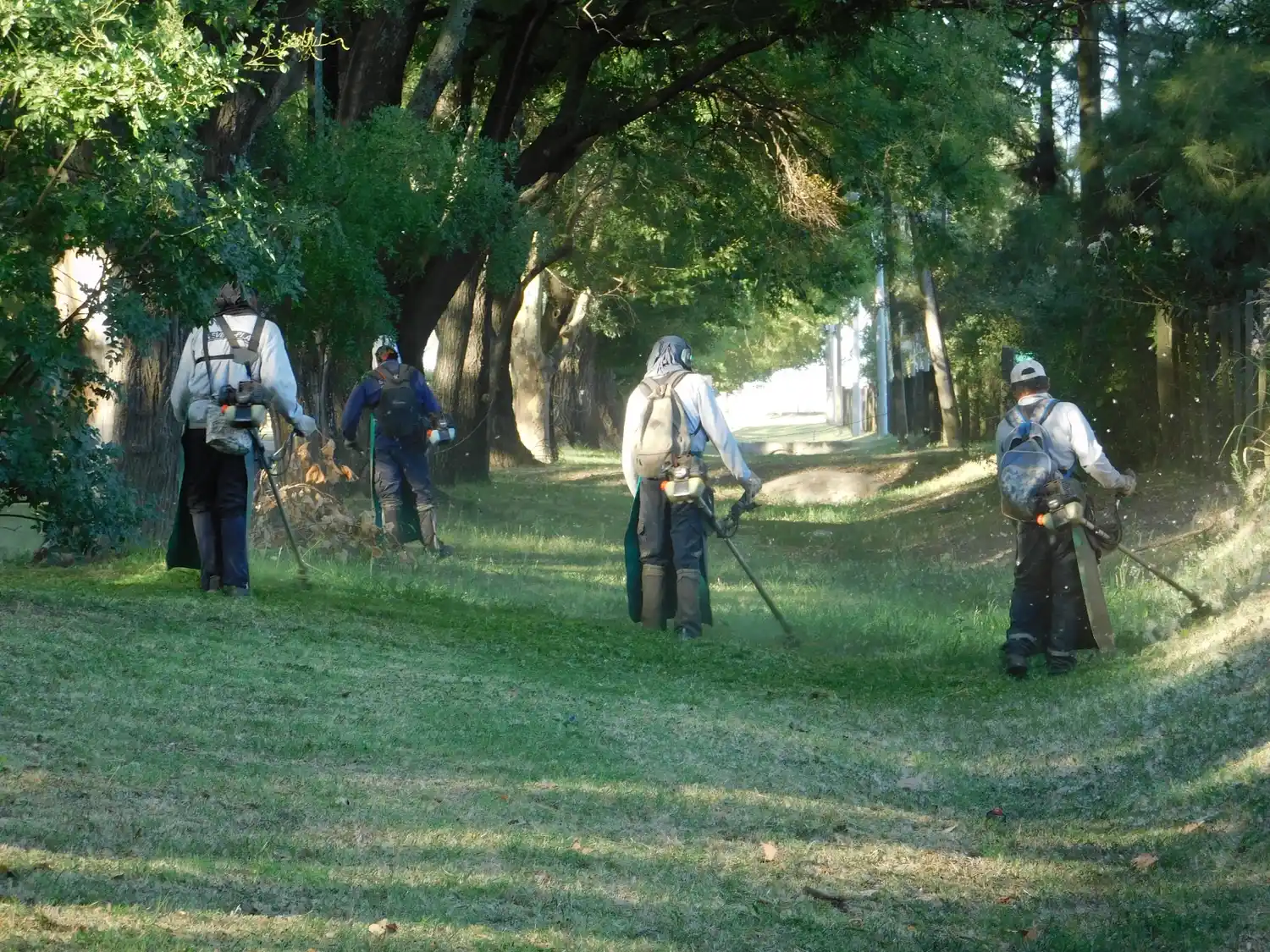 El desmalezado es un servicio que representa un costo significativo para la ciudad.