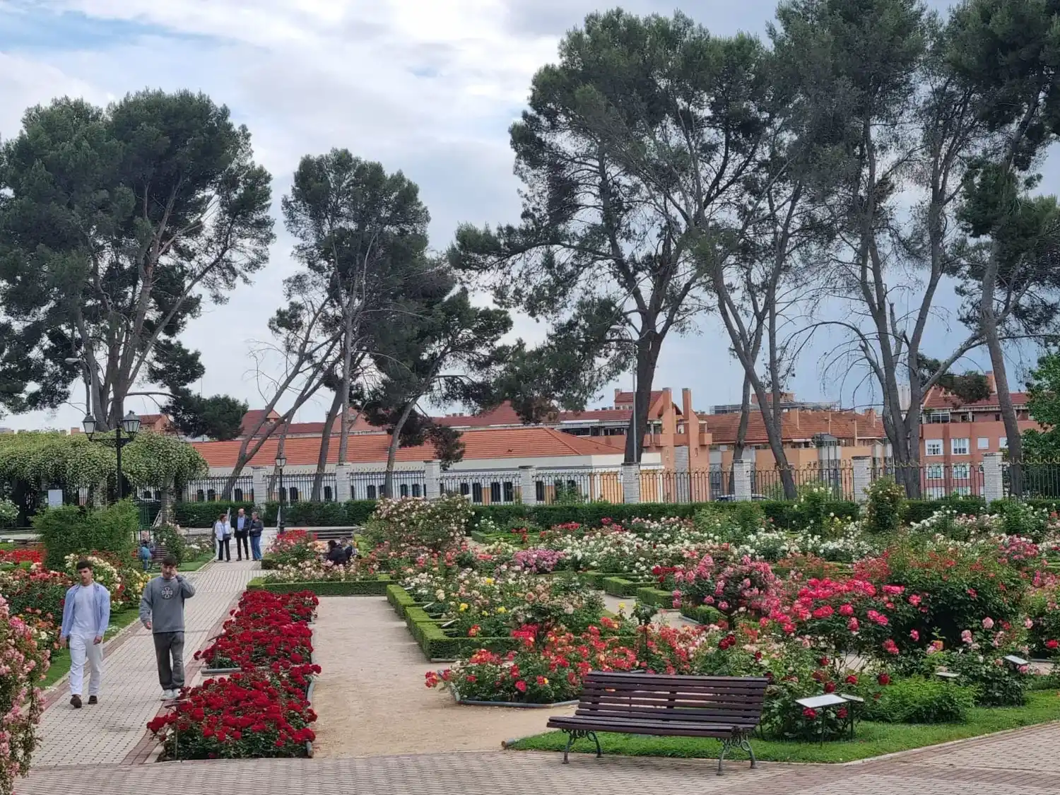 rosaleda 2