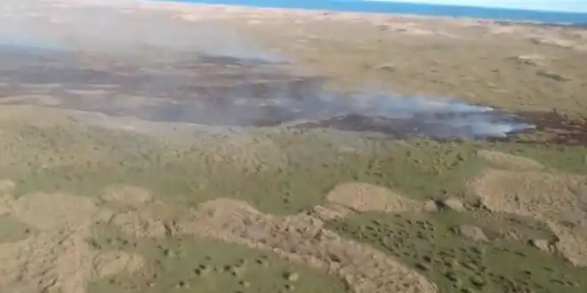 Video: Incendio en un sector de la Reserva natural Faro Querandí
