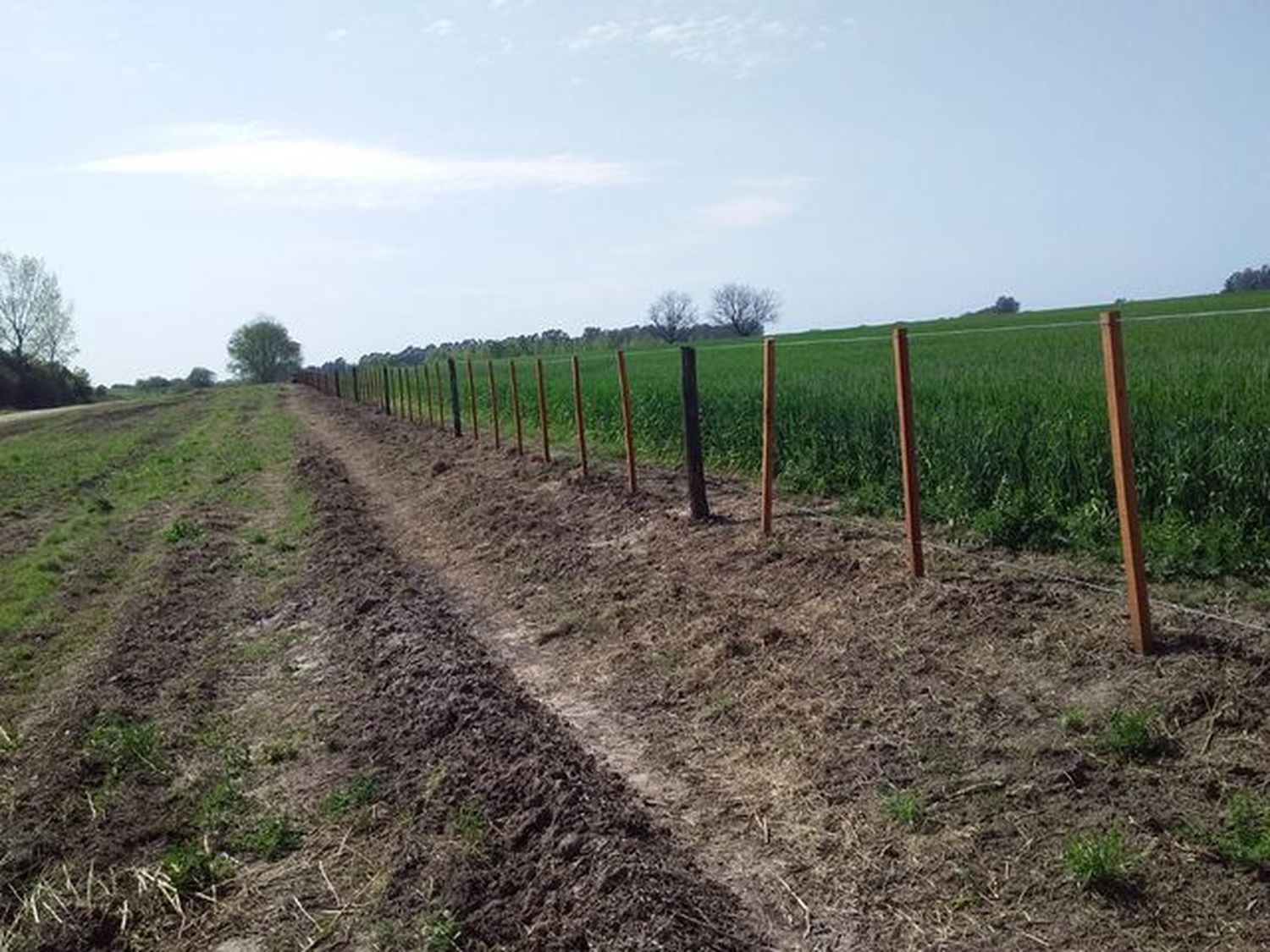 Robaron 400 metros de alambrado en un campo de El Espinillo