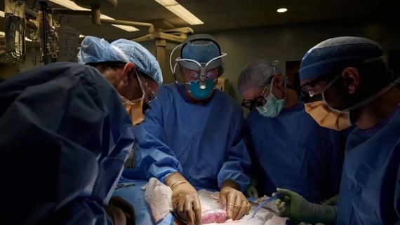 En noviembre, 152 personas se realizaron trasplantes en la provincia de Buenos Aires