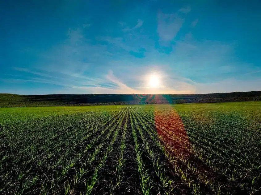 Ecos Agro: El clima que se viene para el campo