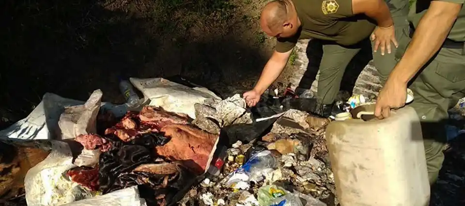Importante robo en un campo de San Justo