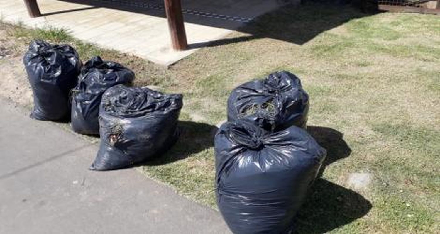 Reclamo: No levantaron las bolsas de pasto
