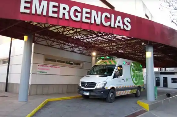 Bahía Blanca: Murió empleado municipal que cayó de un árbol mientras podaba