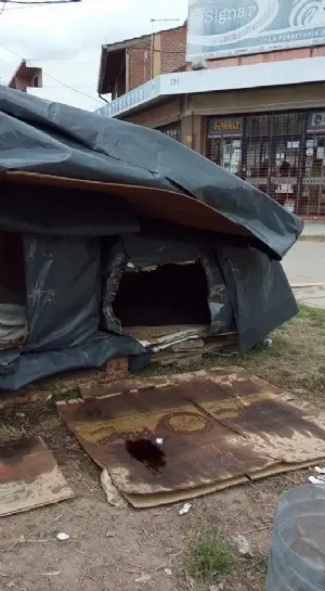 San Vicente: Denuncian envenenamiento de perros en Alejandro Korn