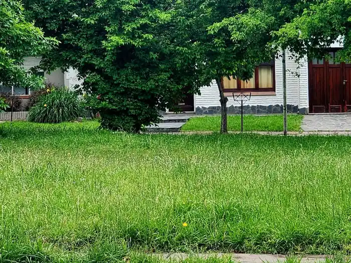 El Municipio refuerza el mantenimiento de espacios verdes públicos