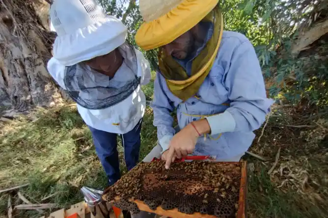 Charla informativa sobre servicios municipales para iniciativas autogestivas de pequeña escala