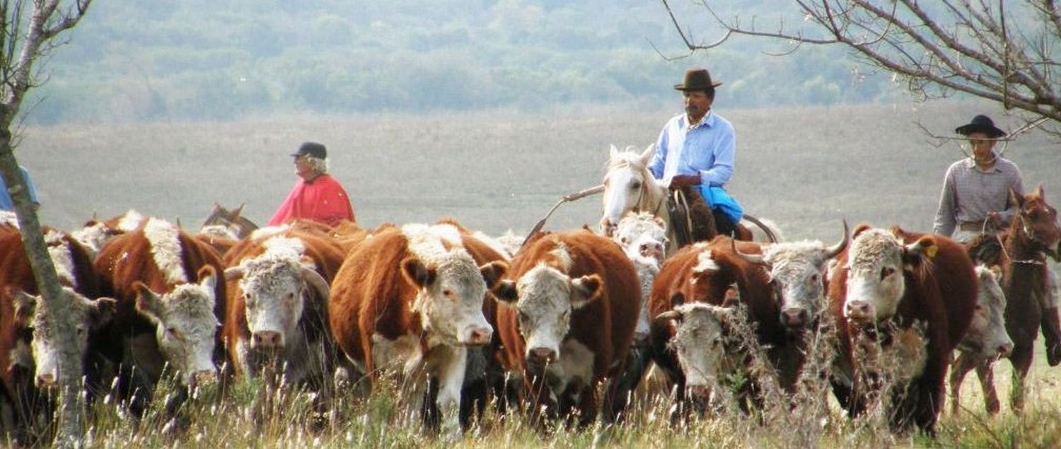 Importante beneficio para los trabajadores rurales