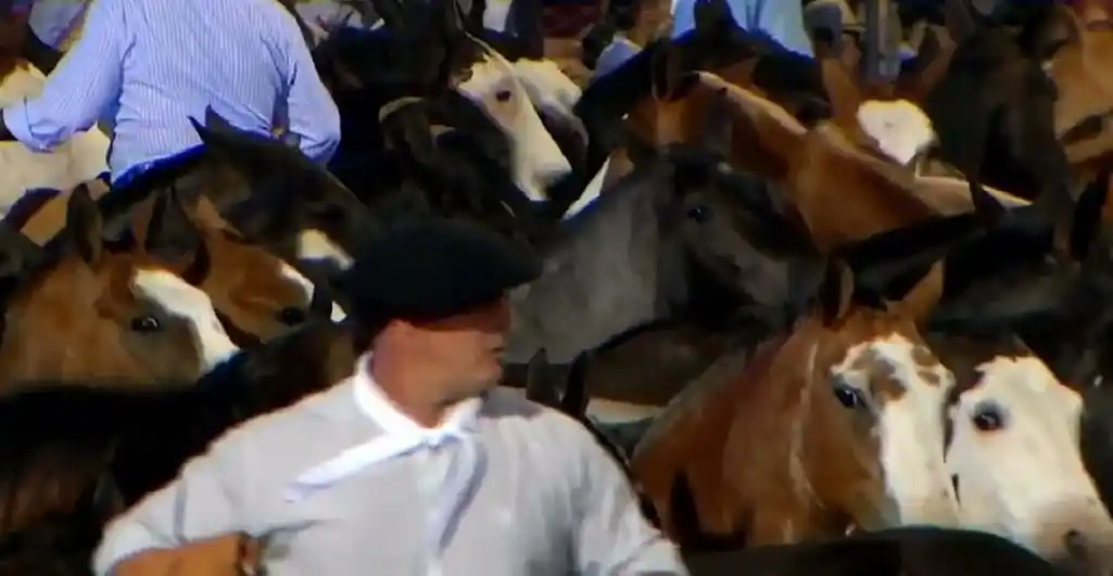 Elñ entrevero de tropillas será una de las demostraciones camperas. Foto: Gentileza.