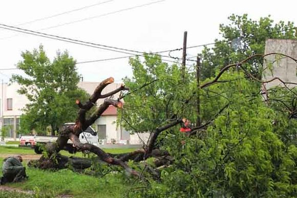 La tormenta dejó varias localidades sin energía y causó destrozos en el sistema eléctrico