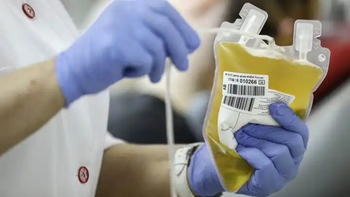 Donación de plasma: Cuánto demora y qué requisitos hay que cumplir