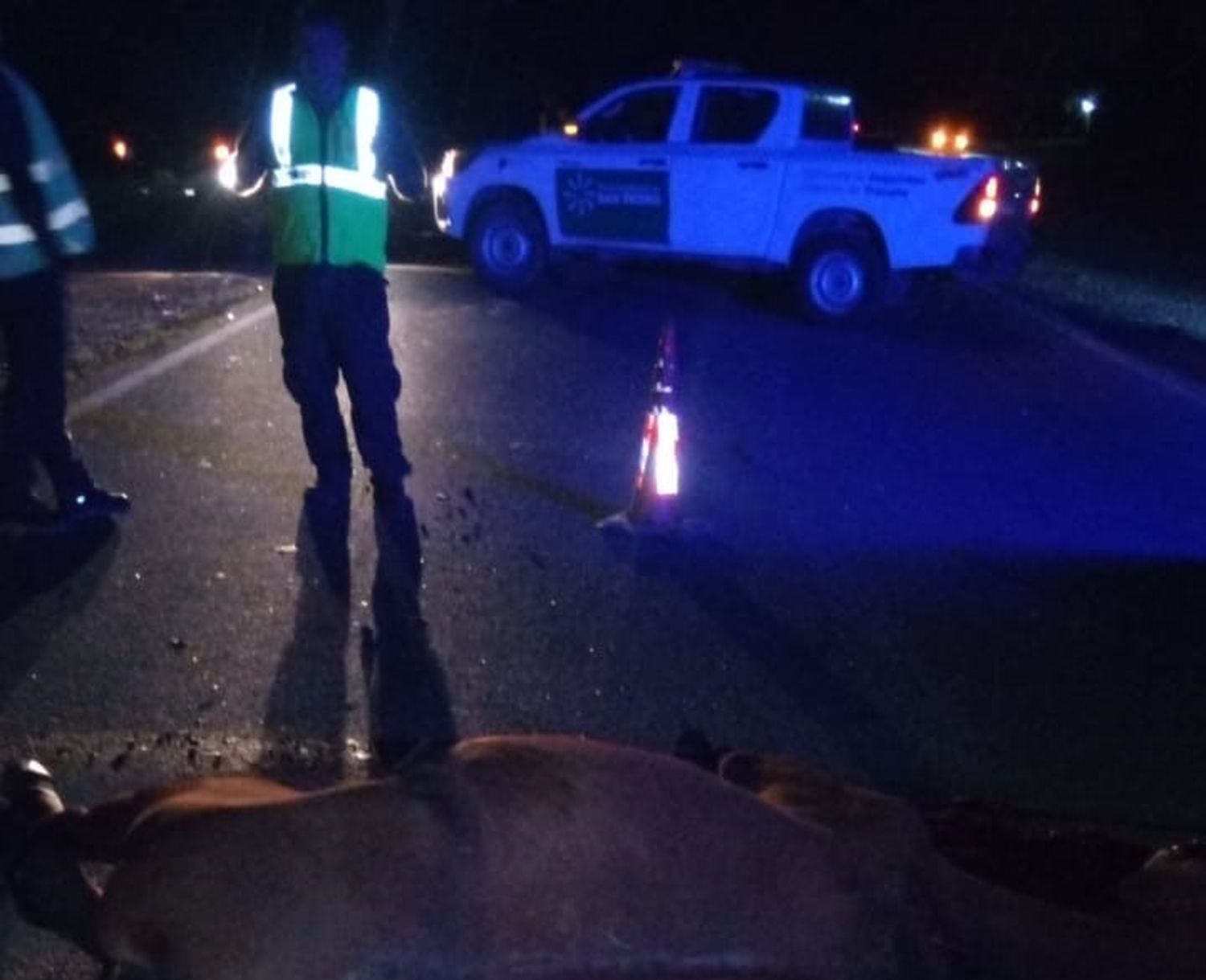 Ruta 1001: hay un caballo muerto tras un choque que se produjo en la madrugada