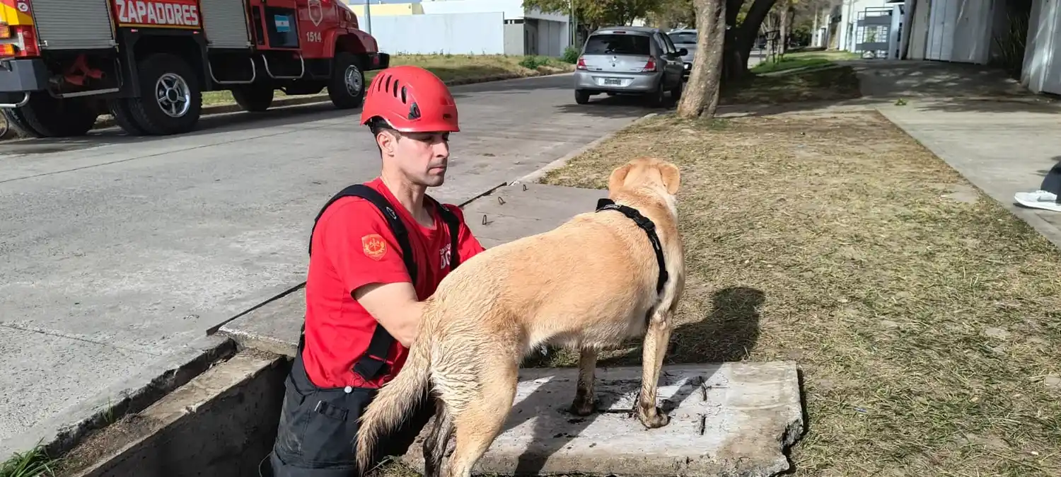Los Bomberos Zapadores rescataron a un perrito atrapado en una alcantarilla tipo boca de tormenta