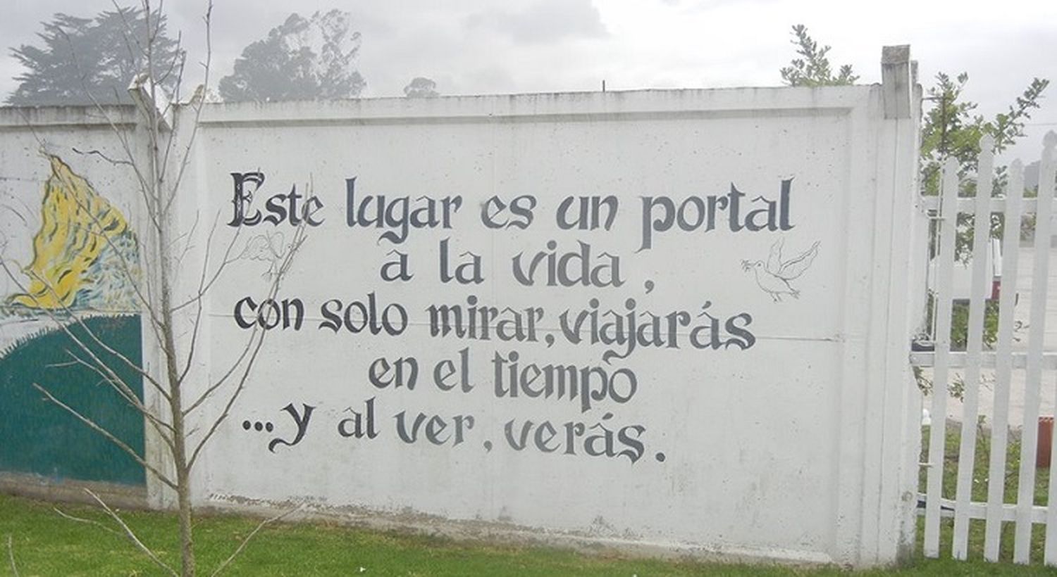 Foto: Prensa Al Ver Verás.