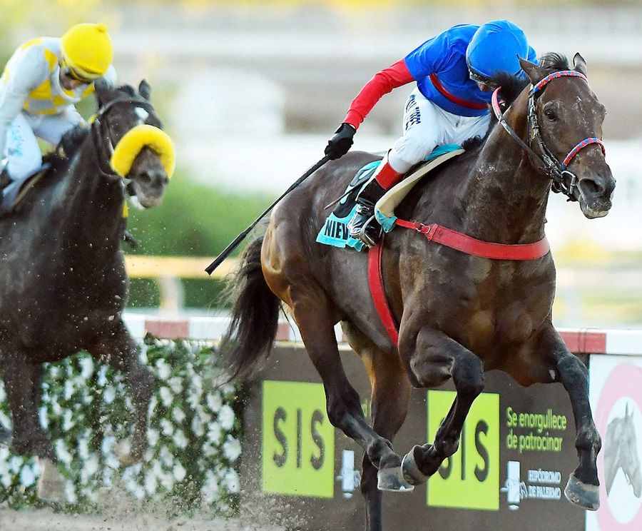 Lunes 8: Actividad Hipódromo de Palermo