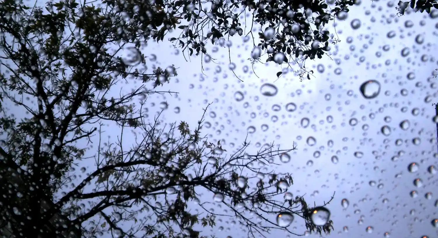 Alertas por vientos, lluvias y tormentas para gran parte del territorio bonaerense