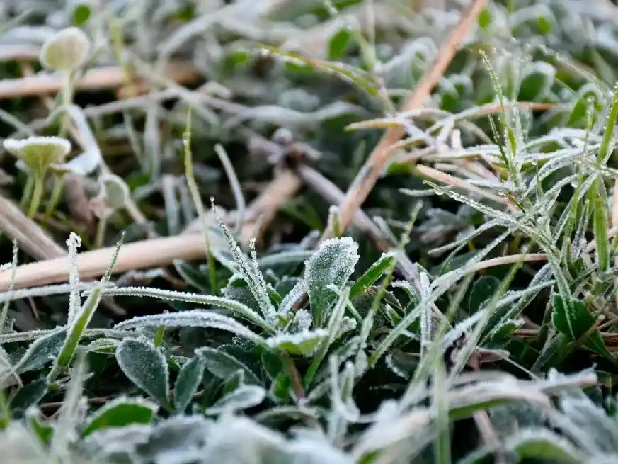 El ingreso de aire polar corto con las lluvias y dejó las primeras heladas del año.