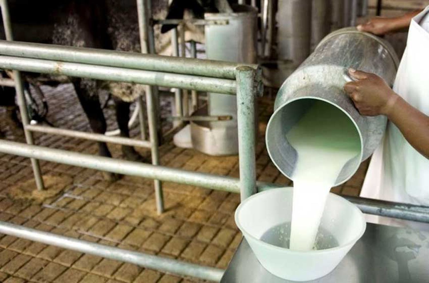 Advierten que el precio de la leche podría aumentar en los próximos días